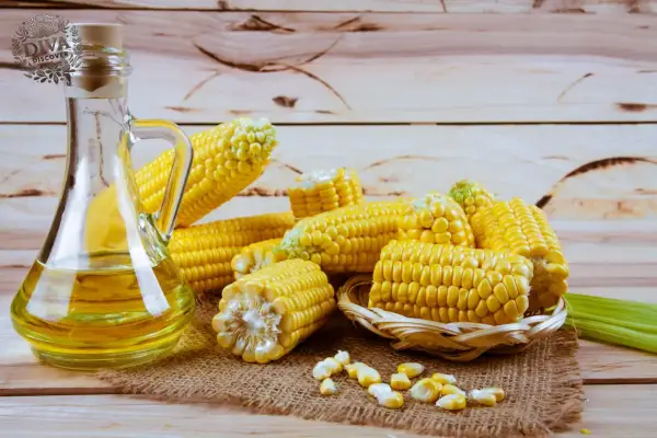 Aprenda a cozinhar com óleo de milho e os benefícios do óleo de milho para a saúde